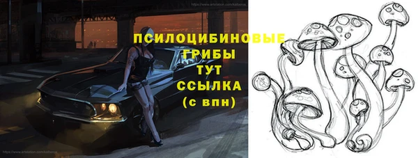 ПСИЛОЦИБИНОВЫЕ ГРИБЫ Алексеевка