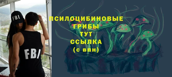 ПСИЛОЦИБИНОВЫЕ ГРИБЫ Алексеевка