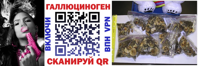 Псилоцибиновые грибы Magic Shrooms  blacksprut tor  Аргун 